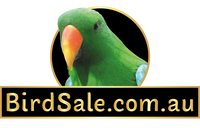 BirdSale.com.au
